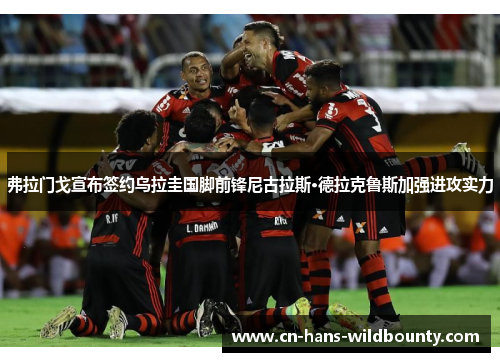 弗拉门戈宣布签约乌拉圭国脚前锋尼古拉斯·德拉克鲁斯加强进攻实力 弗拉门戈宣布签约乌拉圭国脚前锋尼古拉斯·德拉克鲁斯加强进攻实力